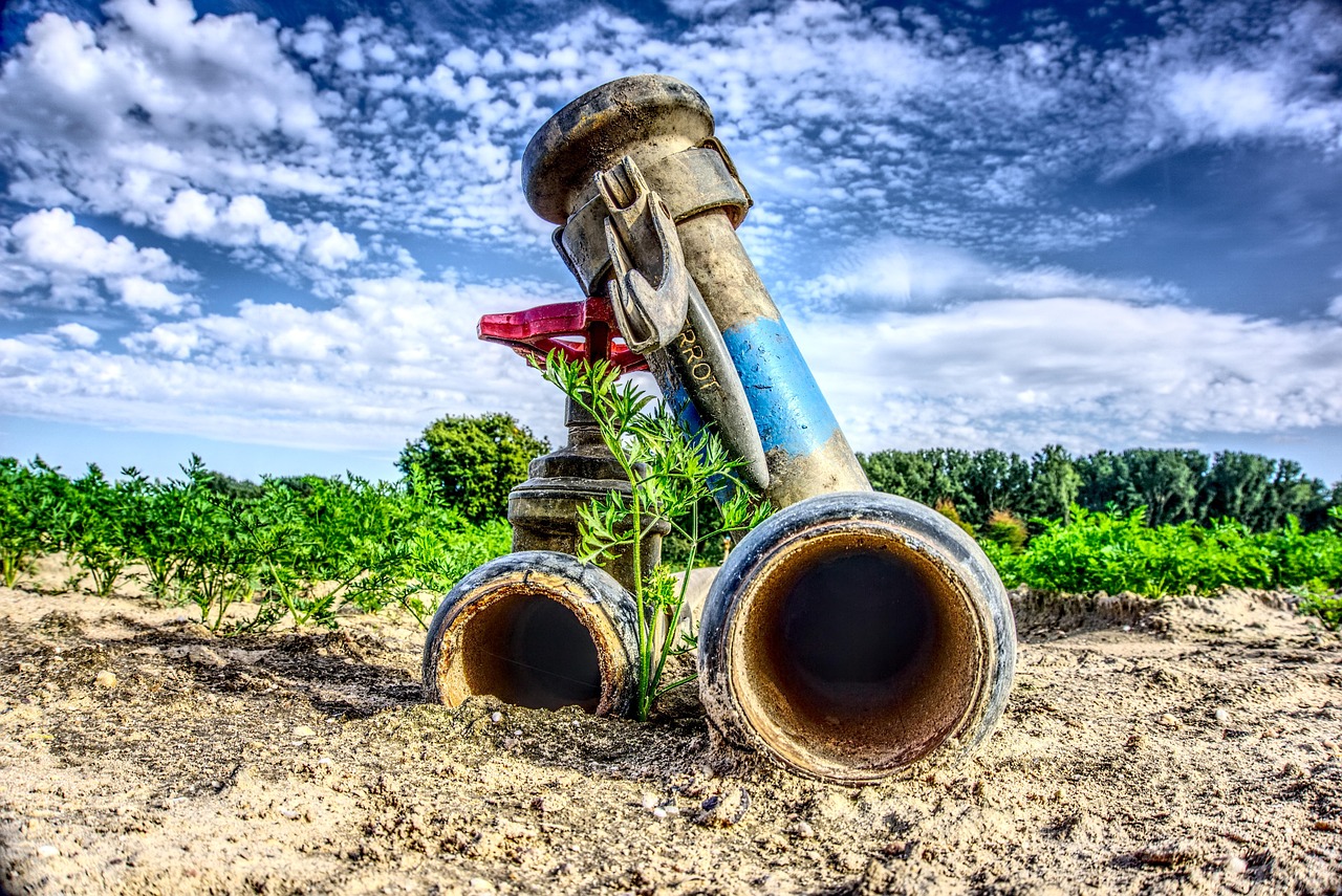 Quality Plumbing backflow testing work