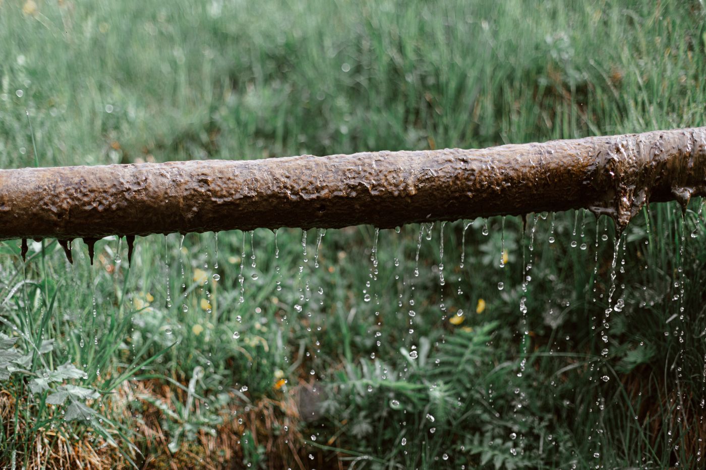 Corroded rusty metal pipe leaking and dripping water along its length over grass