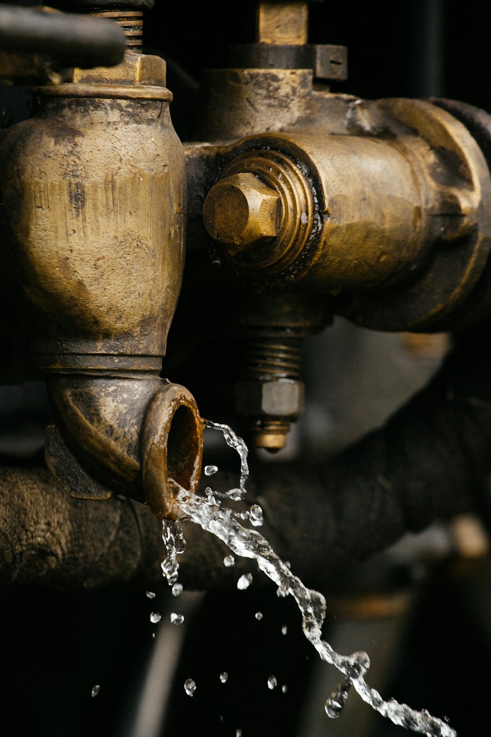 Local Quality Plumbing crew diagnosing a plumbing issue