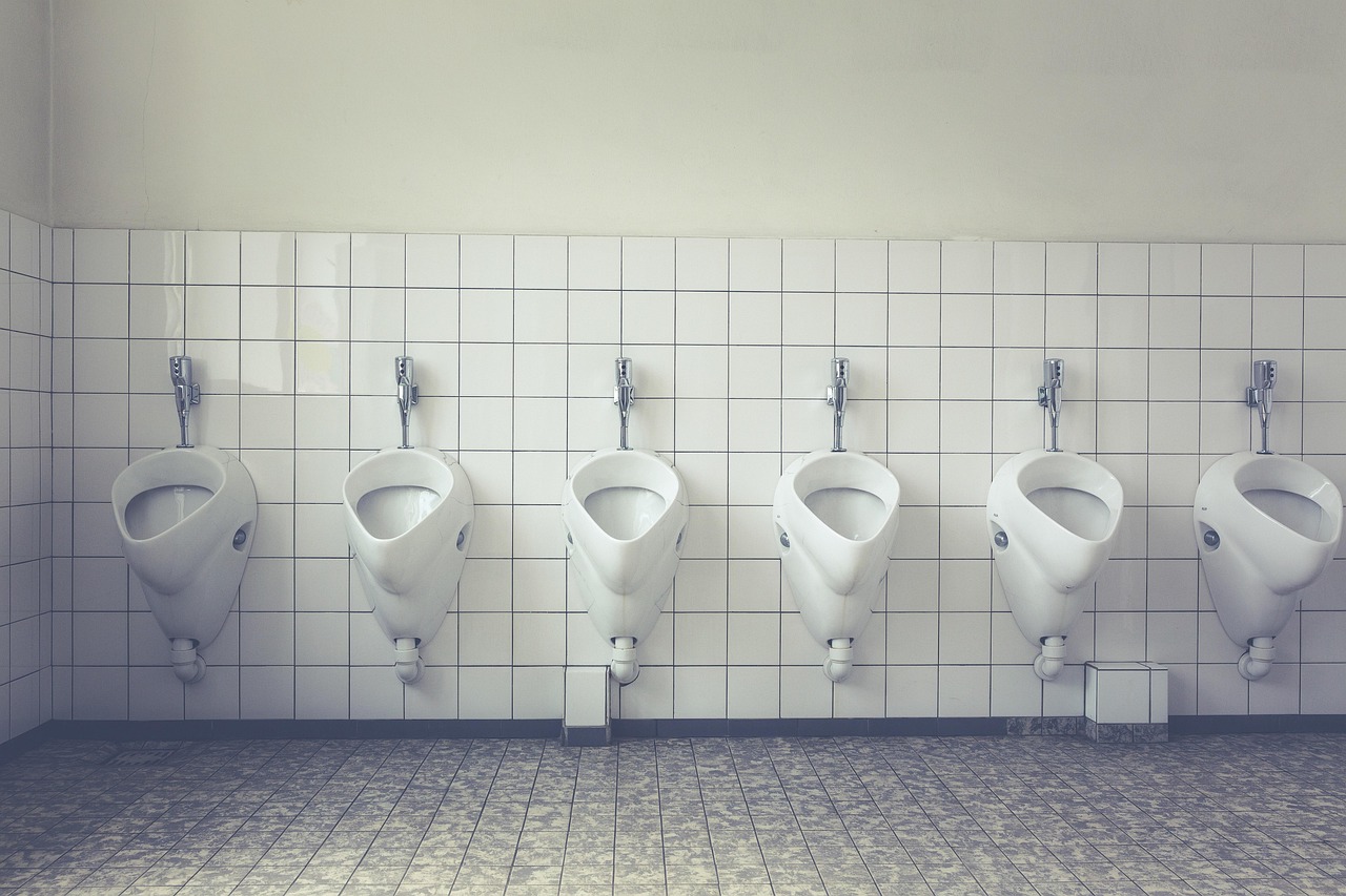Quality Plumbing toilet work